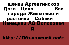 щенки Аргентинскоо Дога › Цена ­ 25 000 - Все города Животные и растения » Собаки   . Ненецкий АО,Волоковая д.